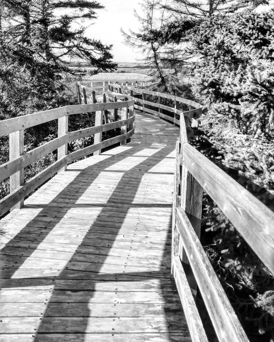 I Practice Dharma Art With Black And White Snapshots