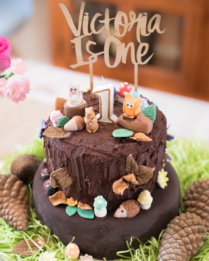 My Daughters 1st Birthday Cake. Woodland Theme.