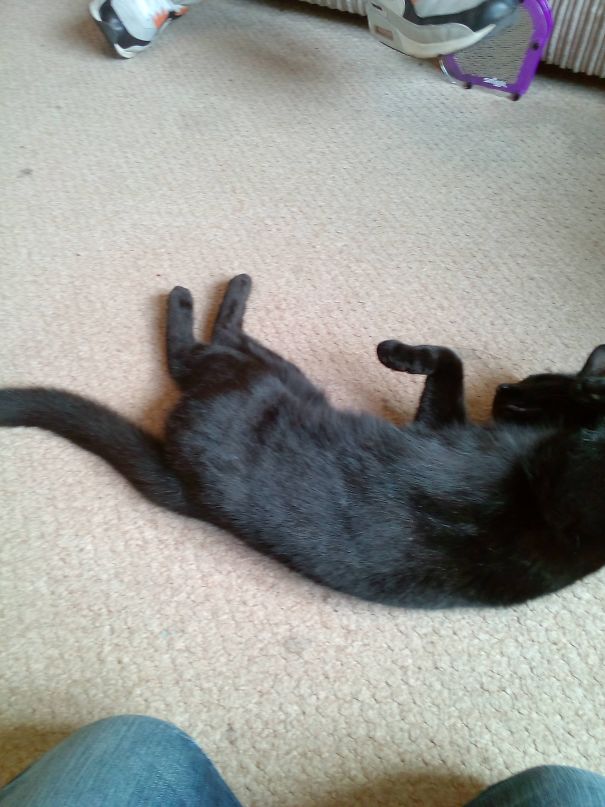 "smile" Noooooooooo!