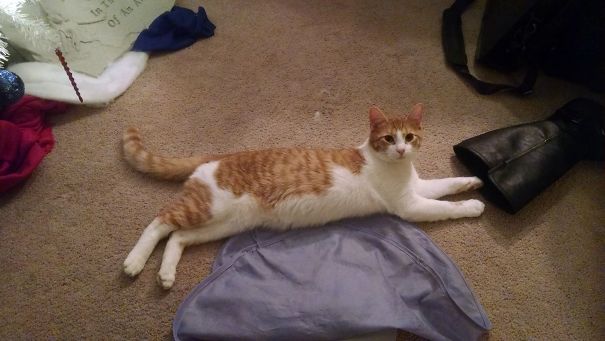 About To Cover Me The Boot ....