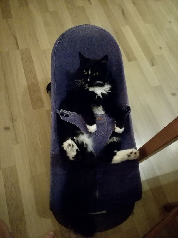 While I Was Putting The Baby To Sleep