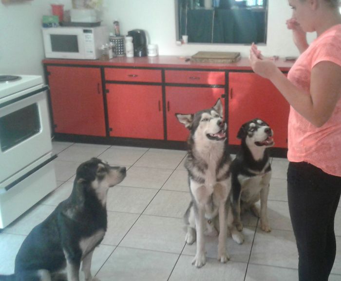 When Snacks Are Involved - No Problem!