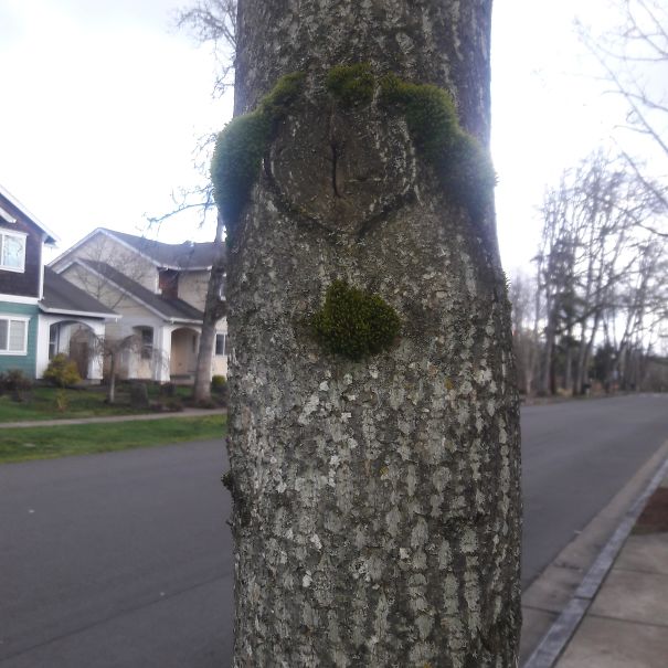 Goatie And Bushed Brow Cyclops