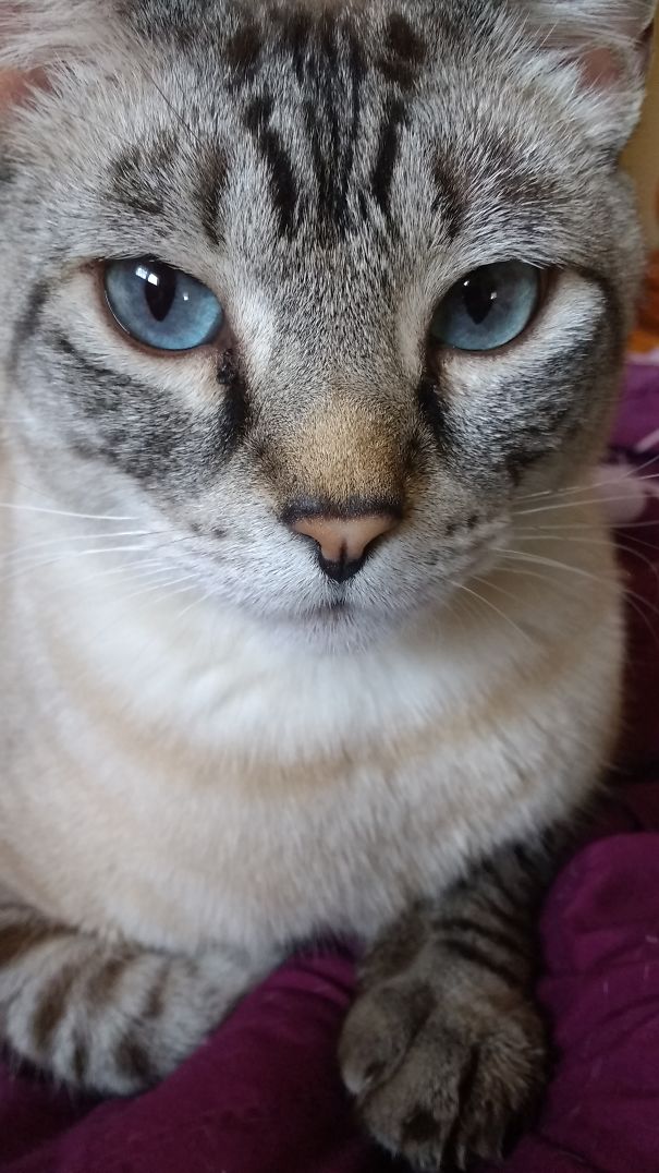 Han Solo Is All About Serious.