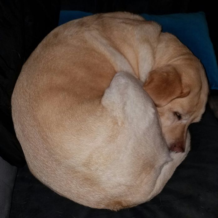 She Was Feeling Left Out...