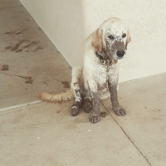 Left Him Alone For 5 Minutes..