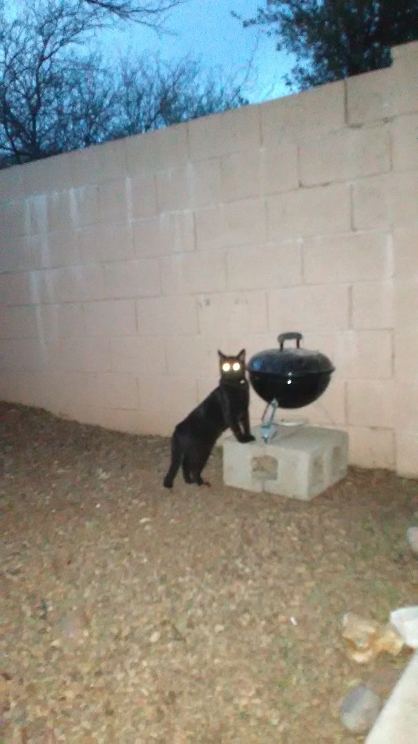 Smoken Joe Getting His Grill On