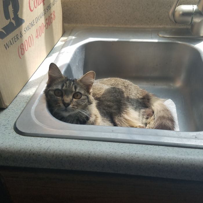 She Thought I Was Gone For The Day