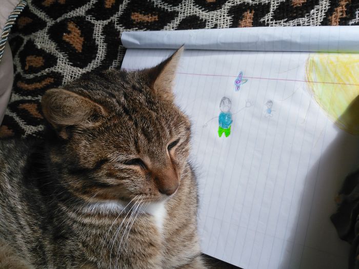 Ahhhh The Monster Kitty Is Sitting Over There Sunbathing