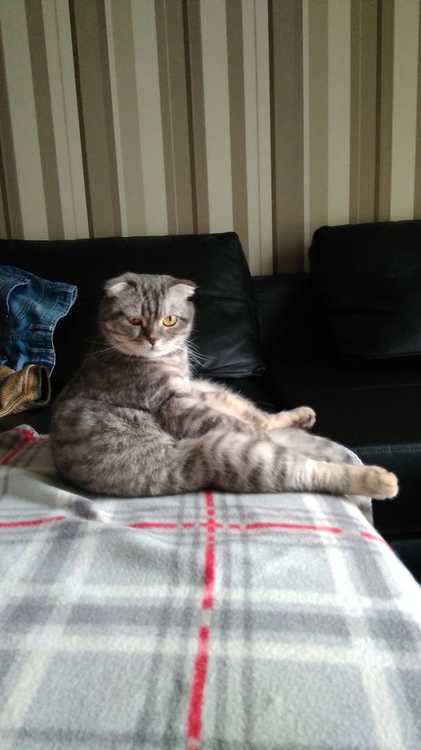 When You Sit On Wrong Place