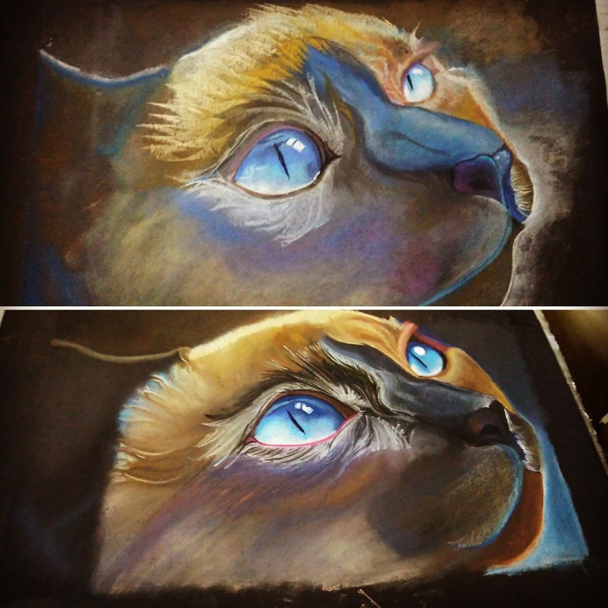 Final.. After 9 Times Of Cat Remake Drawing ... Again As Again .. It's Here .