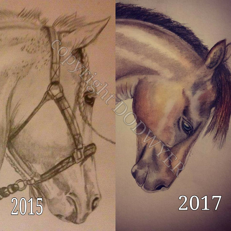 2 Years Practice Odwyer Pet Portraits Fb