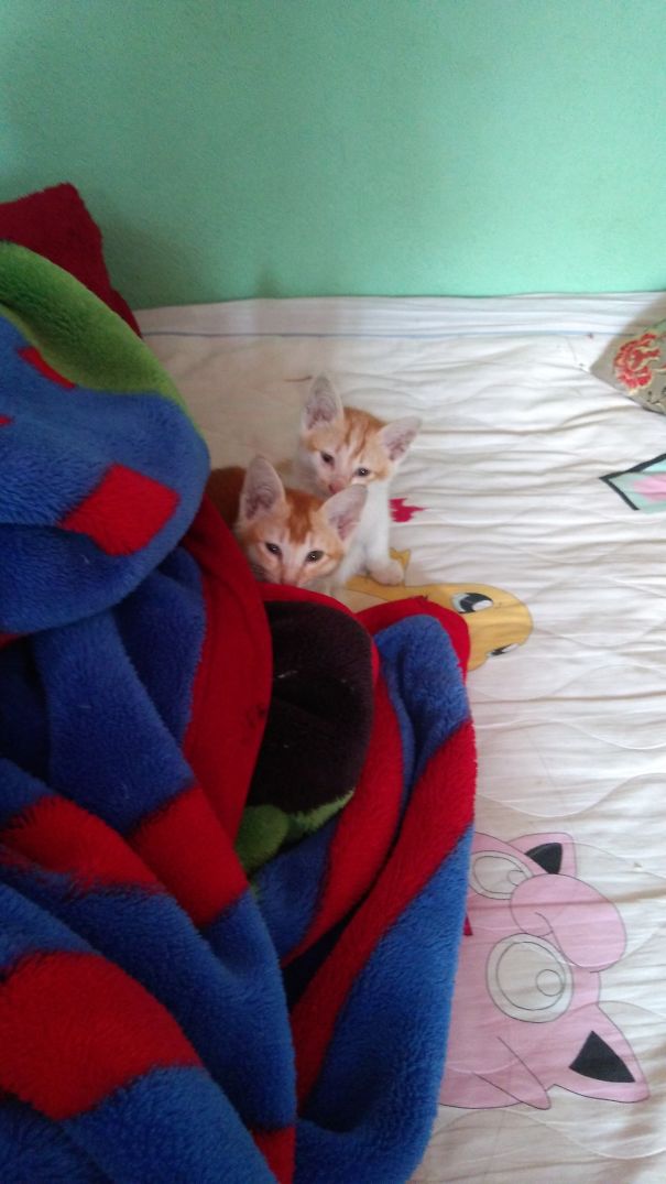 Waiting For The Surprise