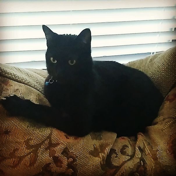 This Pillow Is Mine...mine