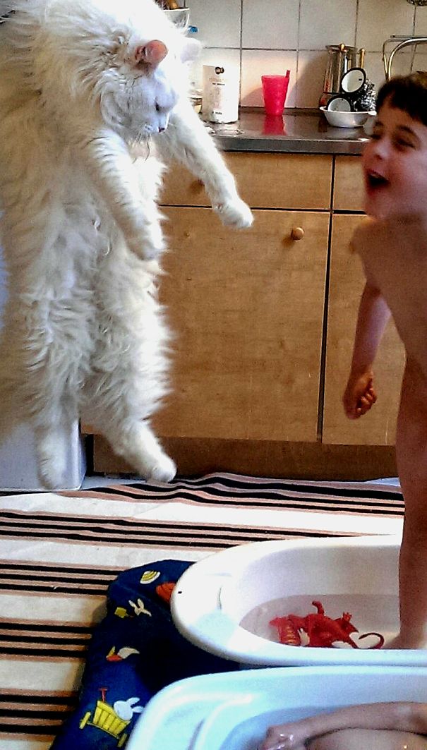 'feet, What Do I Need Them For If I Have Wings To Fly, My Lad?'