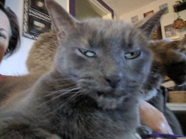 Are You Kidding Me...