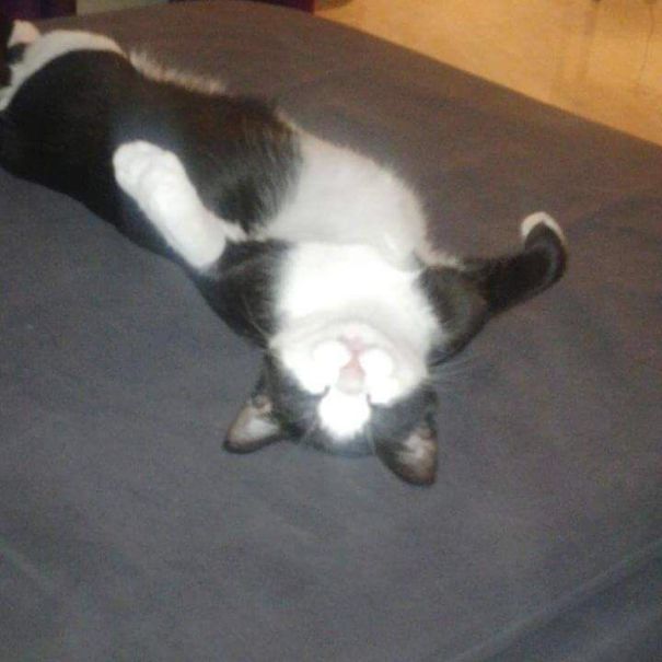 When I Told Him I Didn't Find His Fav Food