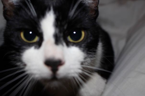 Theo Ivory Winning The "who Blinks First Competition"