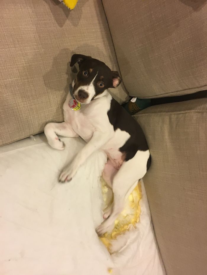 She Thought That If She Sat In The Hole She Made, I Wouldn't Be Able To Tell.