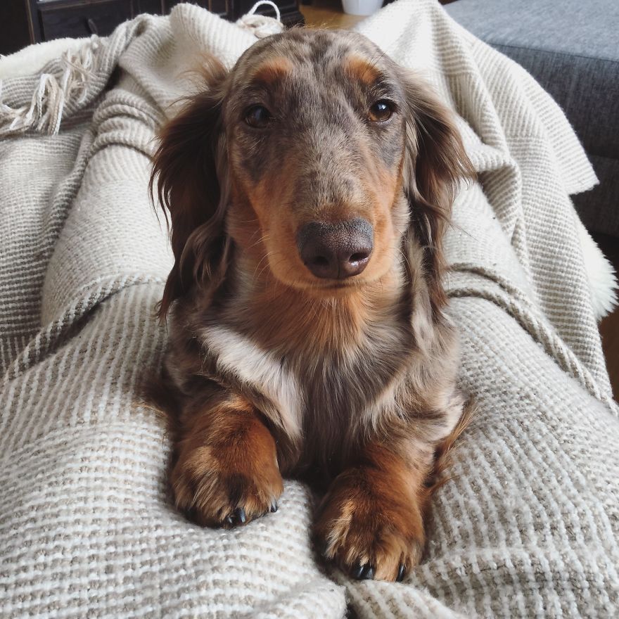 All I Needed Was That Extra Little Boost Of Love