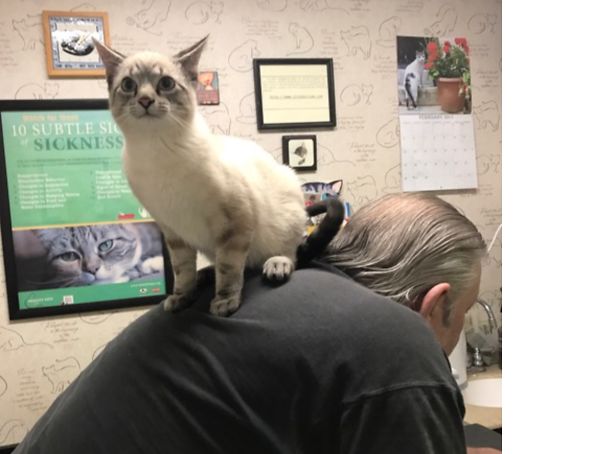 Waiting For The Vet To See Me Is As Bad As My Mommy Waiting For Her Doctor !