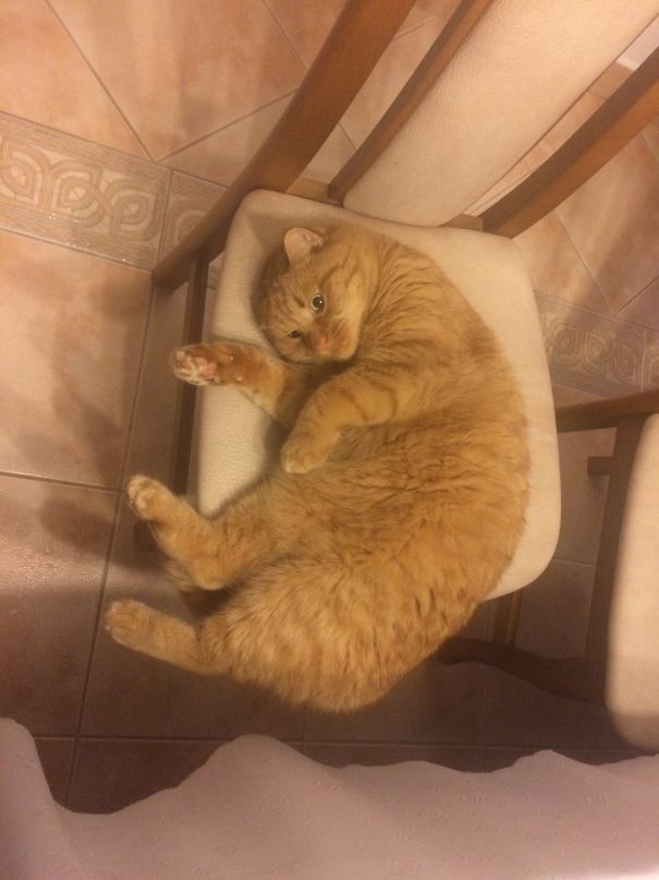 What Is The Meaning Of Life?