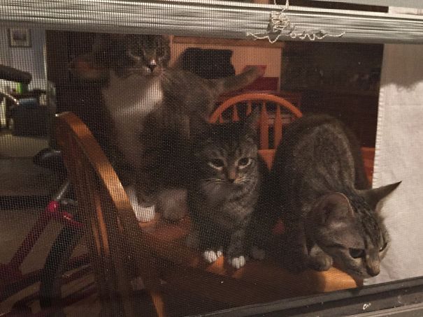 Do You Think She's Coming Back?