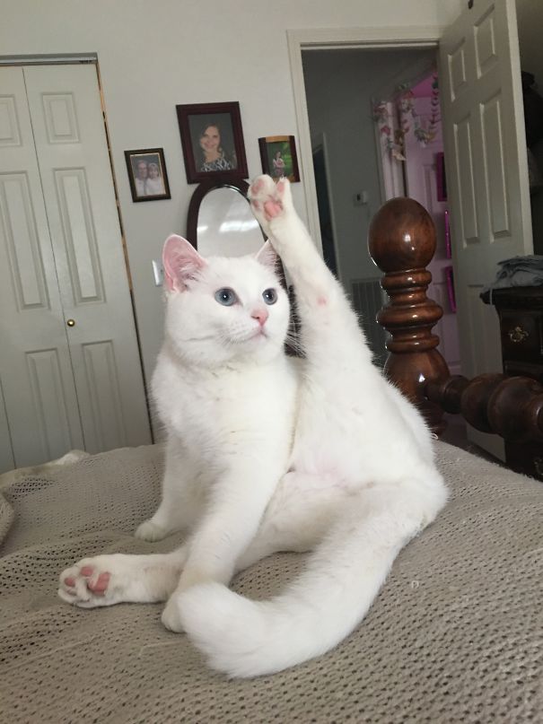 When You Tell Her To Pose For A Picture...😂