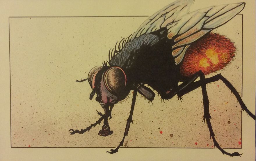 I Draw Using Ink And Pigments