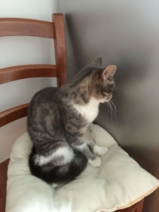 I'm Not Talking To You!