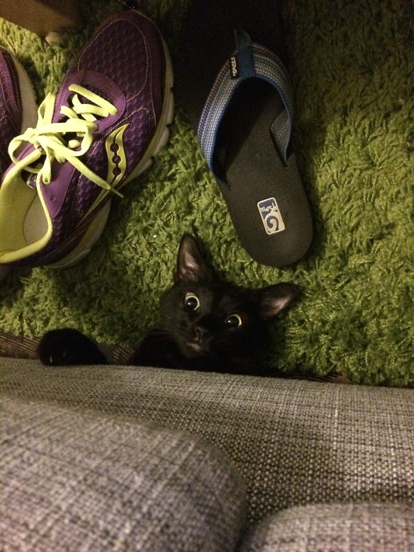 You Won't Believe What's Under This Couch!