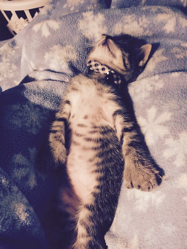 I Can't Believe They Ate All The Food!