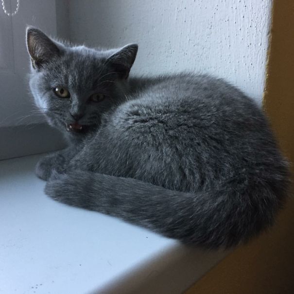 So Happy To See You :)