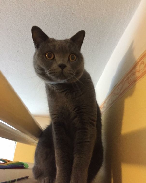 Shhhh, I Hear Something From The Hall!