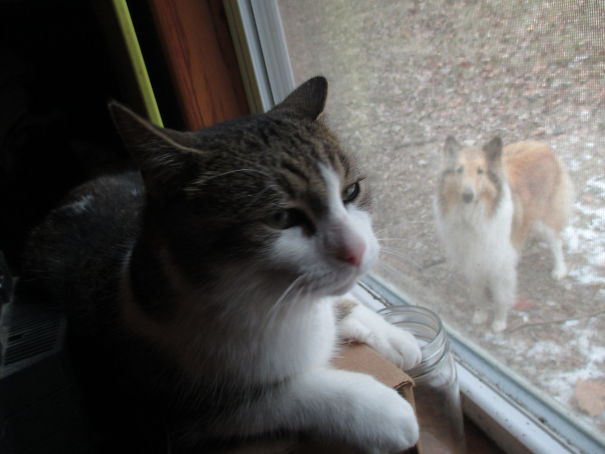 He's Plotting Her Slow And Painful Death