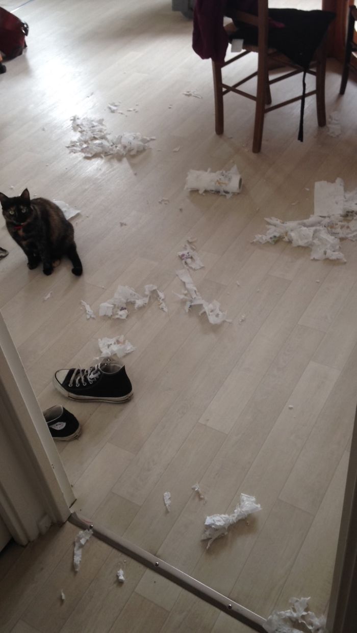 "what's Your Fucking Problem?"