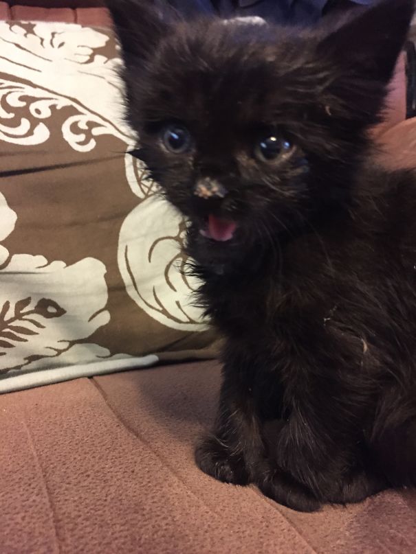 How Dare You Let That Food Attack My Face!