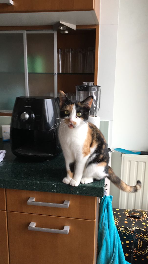 The Face She Makes When You Want To Take Something To Drink For Yourself And Not For Her