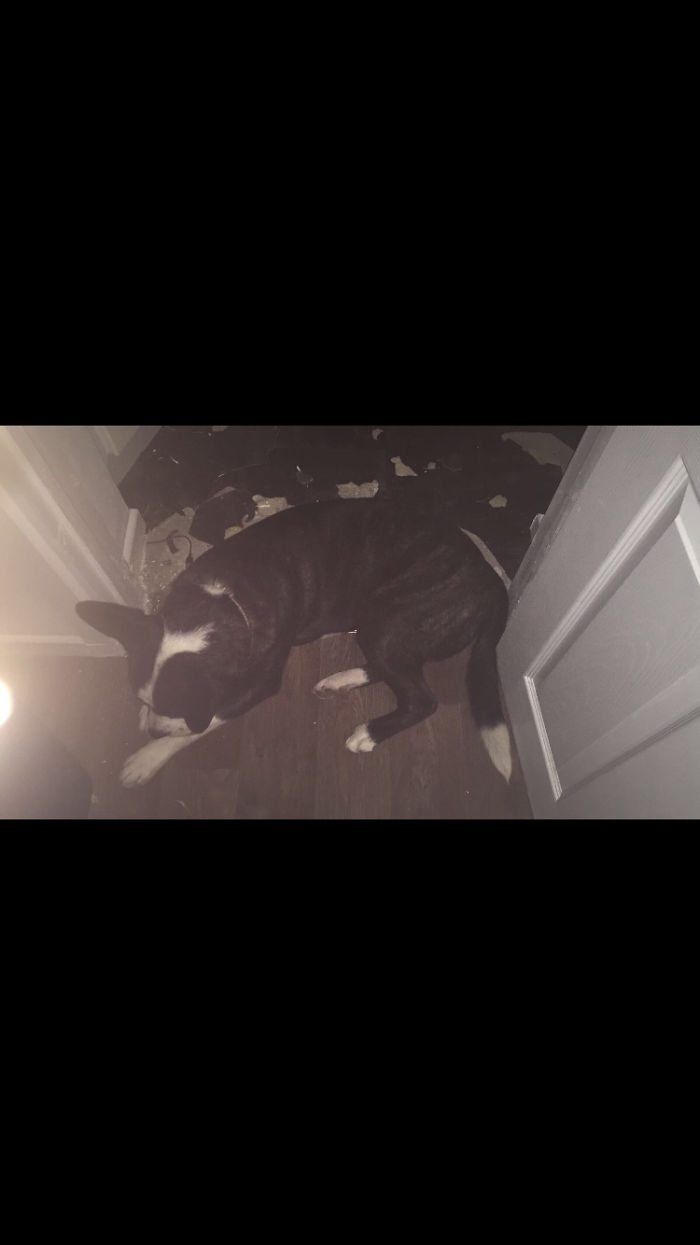 The Floor Just Exploded But If I Lie Here You Can't See It