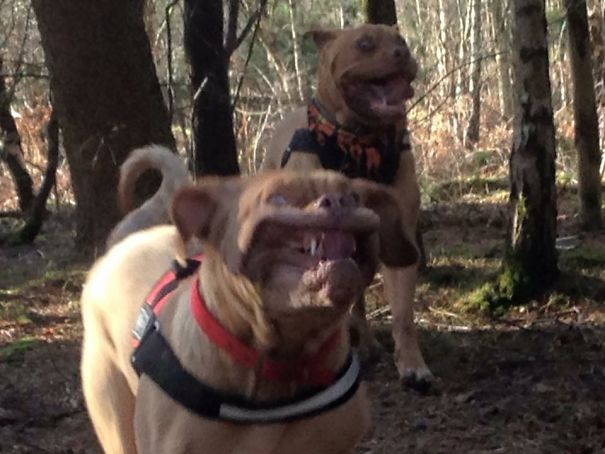 The Accidental Picture...