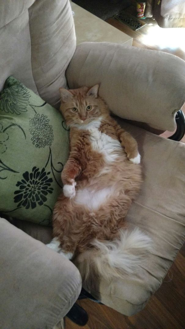 When You Leave Your Spot For 30 Seconds...