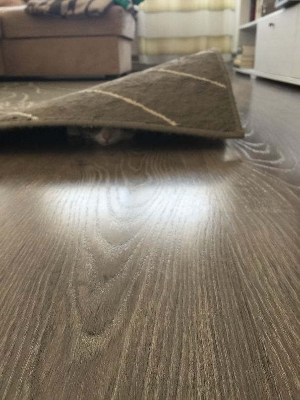 She Can't See Me...she Can't See Me...she Can't See Me