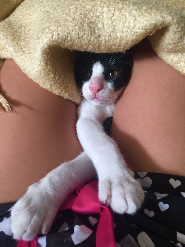 But First, Lemme Take A Selfie 😺