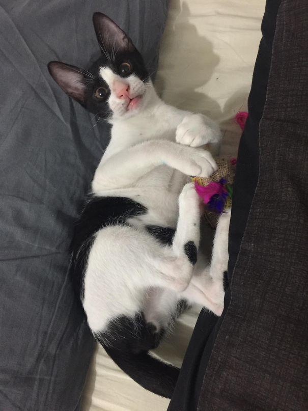 The Moment When You Heard About Bonus And Salary Is Much Bigger This Year 😳💸💵💴💎💰💣