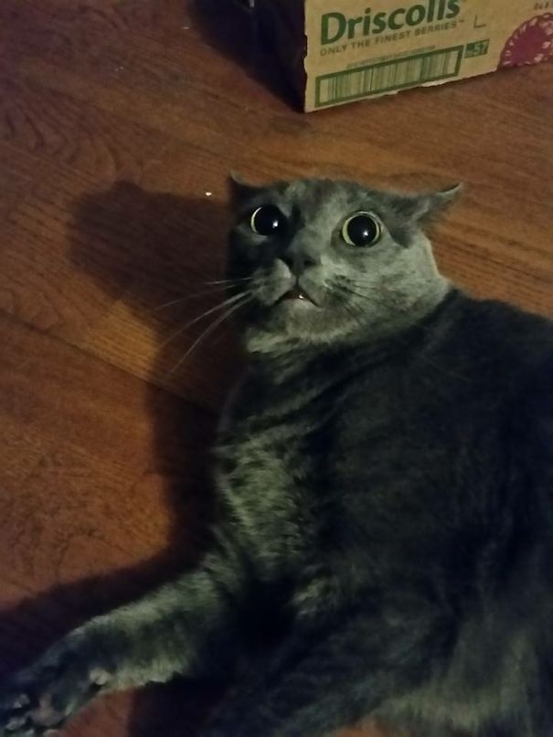 I Said No Pictures!!