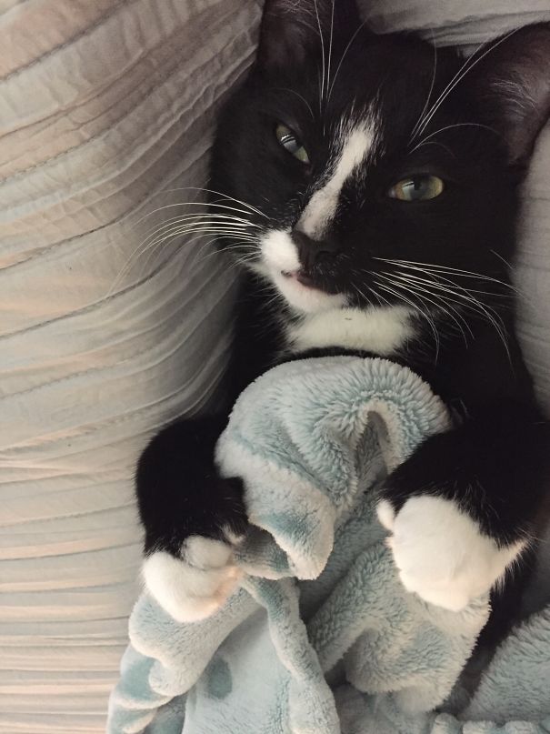 Not Ready To Get Up Yet