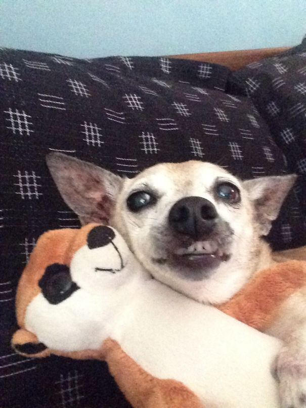 Nothing To See Here People...