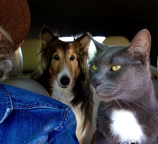 I Don't Like The Look Of That......