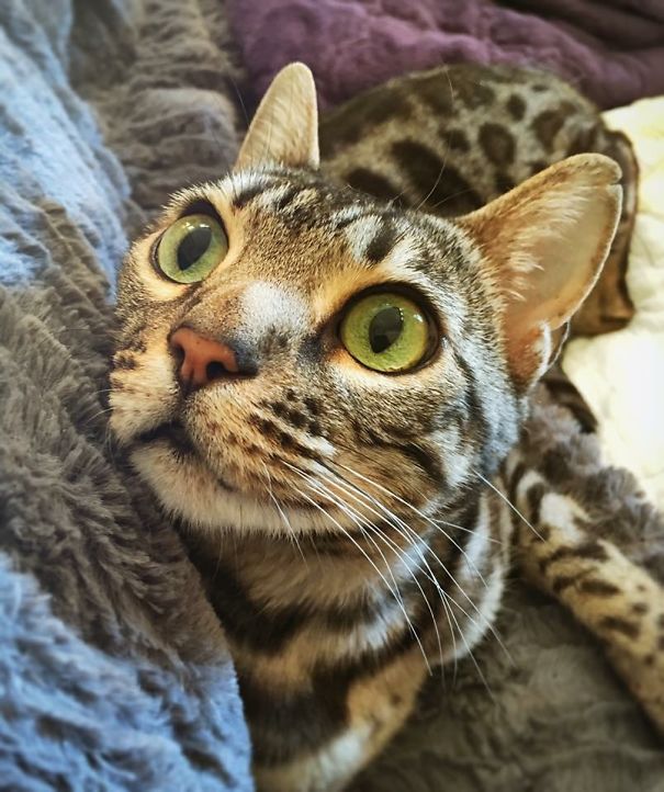 Starla Dramatically Staring At... Nothing At All!