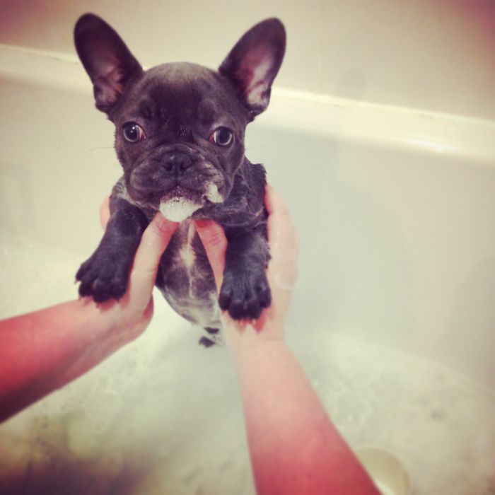 Why?.......... What Did I Do?.......